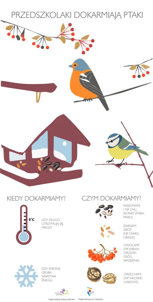 Przedszkolaki dokarmiają ptaki